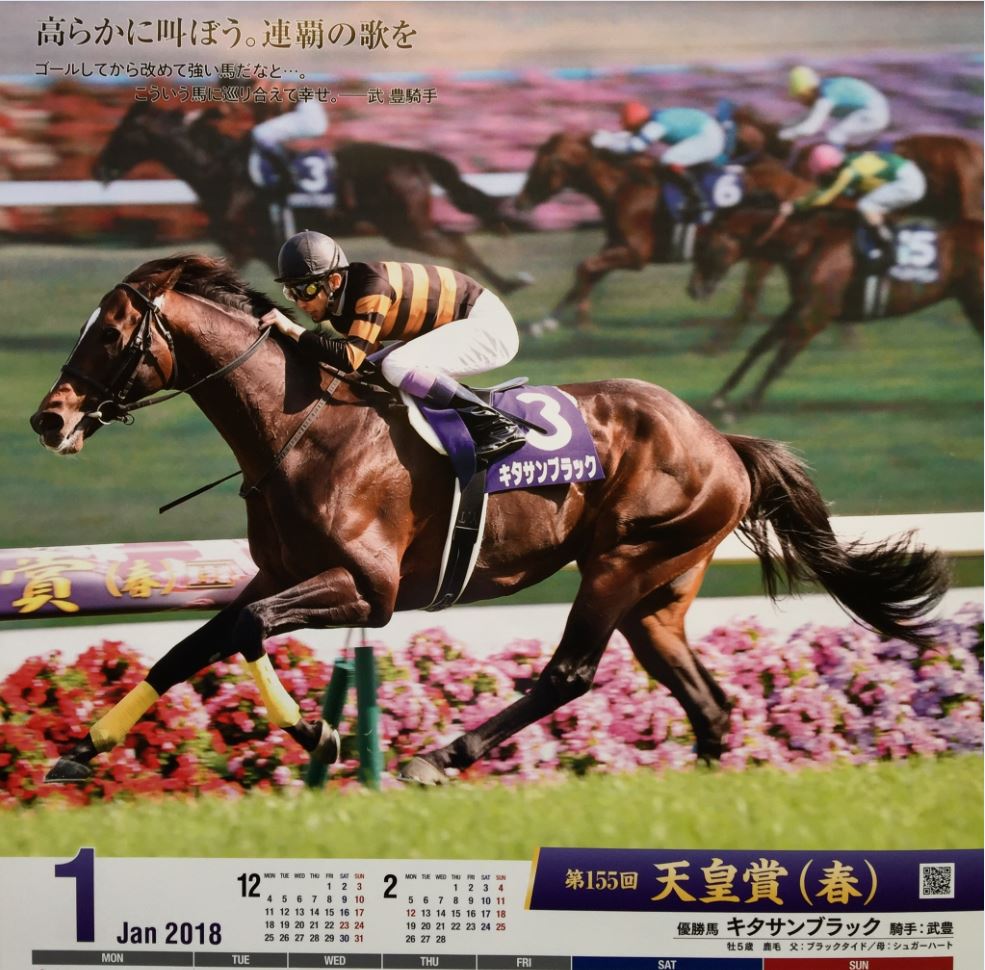 Jra 18 １ ３月カレンダー 推理競馬