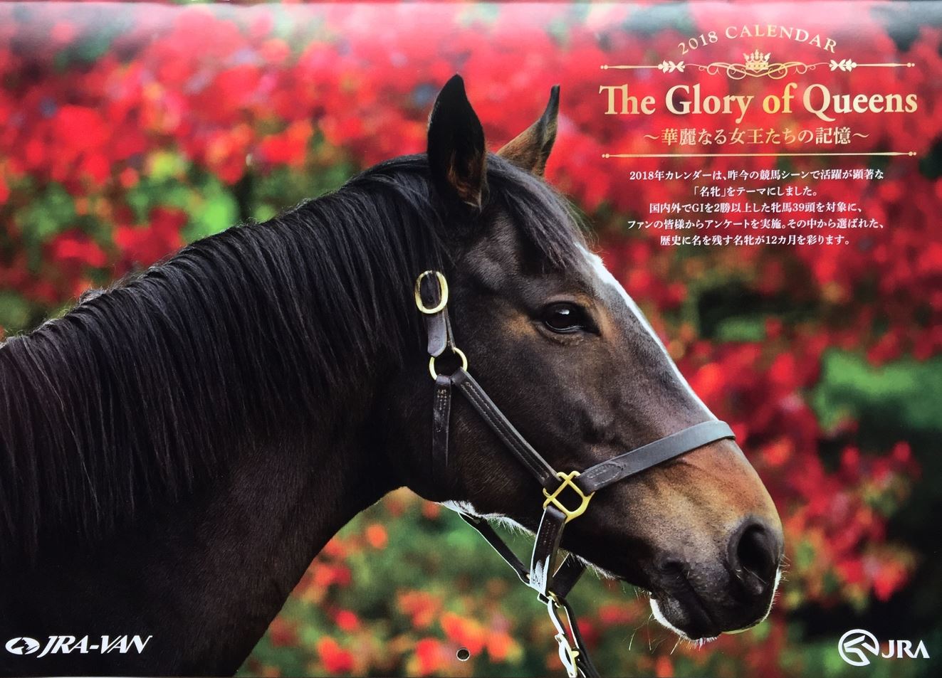 ｴﾘｻﾞﾍﾞｽ女王杯 福島記念 ４枠 ゾロ目を バンバン出してくるｊｒａ これ買えますか 推理競馬