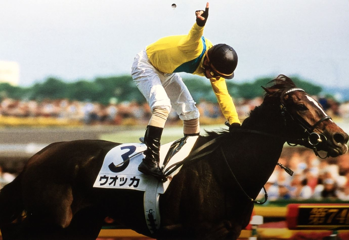 19 6月 カレンダー各種 推理競馬